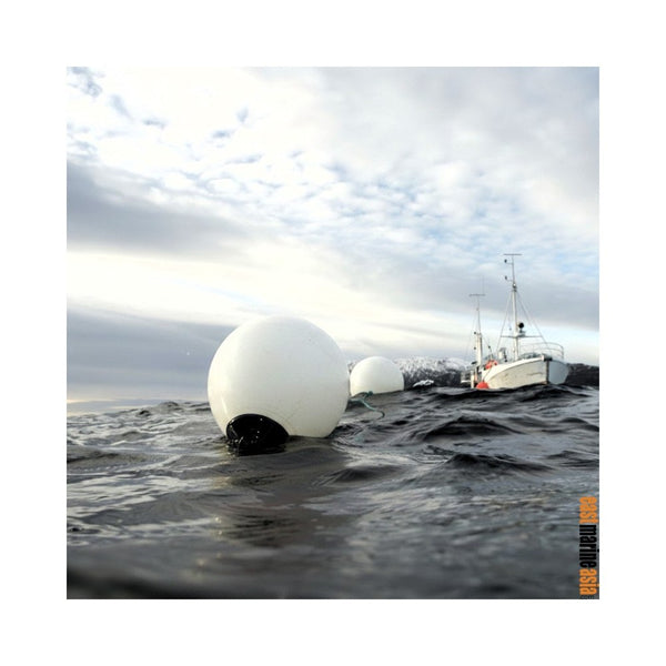 Polyform A Series All Purpose Buoy and Round Fender (White Blue Top)