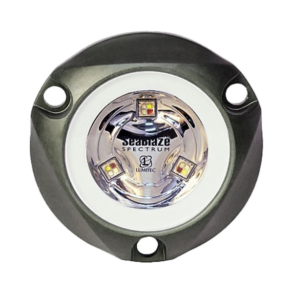 Lumitec SeaBlaze Mini Underwater Light