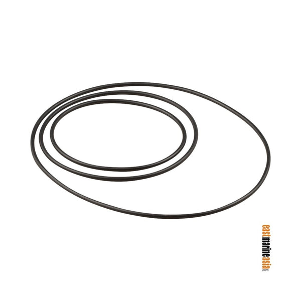 Guidi KITORI Replacement O-Ring for Strainer